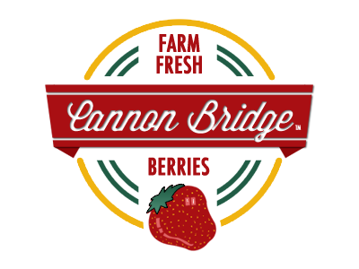 Cannon Bridge Logo logo red strawberry
