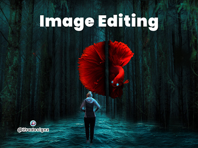 Image Editing