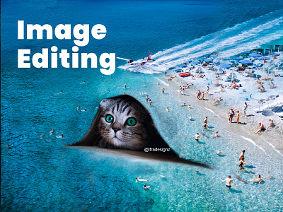 Image Editing in Adobe Photoshop