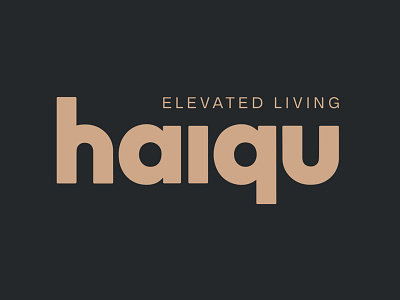 Wordmark for haiqu