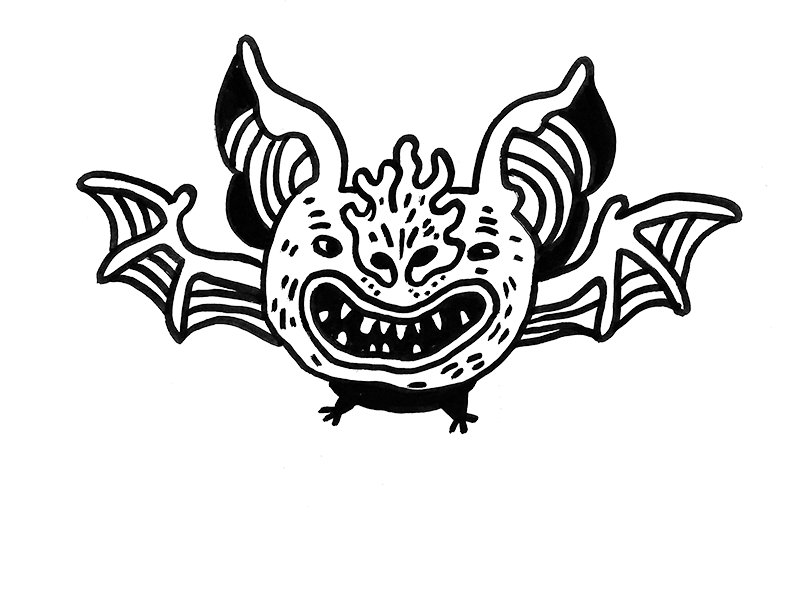 Chiroptera animal bat flying hand drawn traditional animation