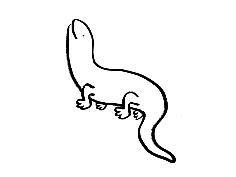 02 Divided animal animated animation gif inktober lizard