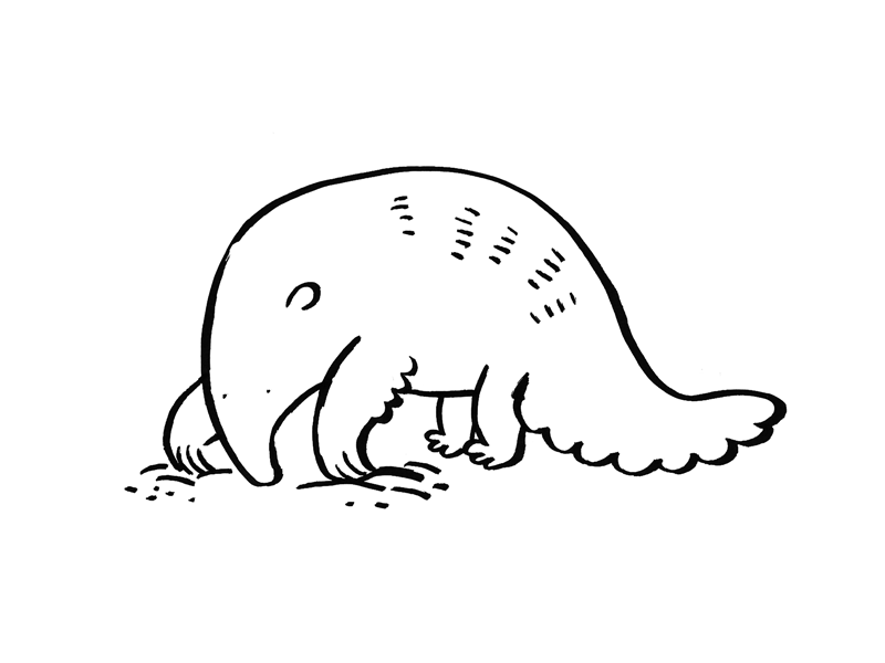30 Found animal animation anteater illustration inktober skull