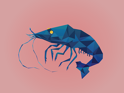 Low Poly Shrimpy Shrimp graphic illustration illustrator lowpoly shrimp vector