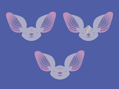 Bat Nosies animal bats head illustration illustrator vector wip