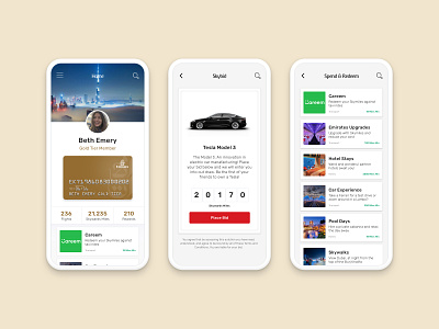 Skywards App Concept