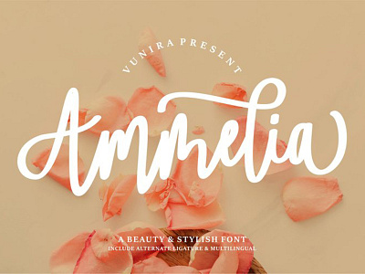 Ammelia Script Font branding charracter design font font awesome font design logo logotype typography vector