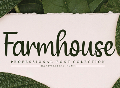 Farmhouse Fonts branding charracter design font font awesome font design logo logotype typography vector