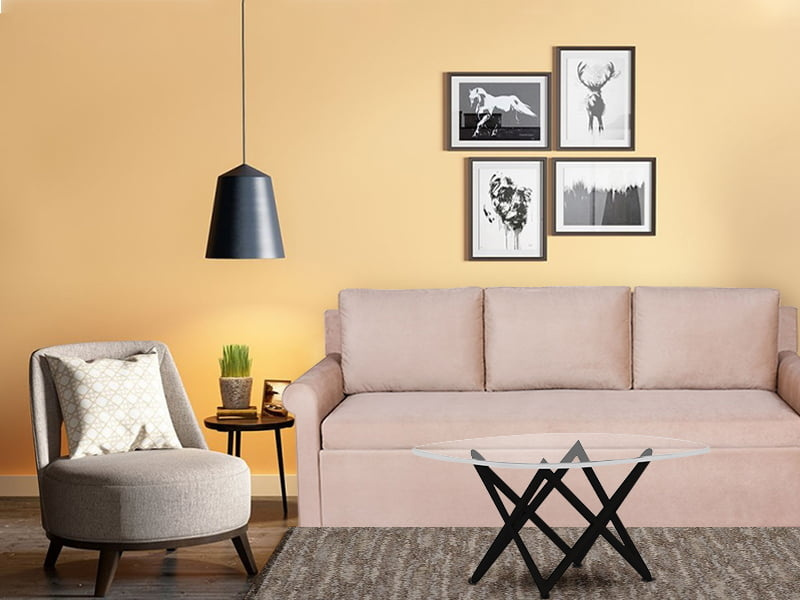 Furniture Shops In Pune by Akshay M on Dribbble