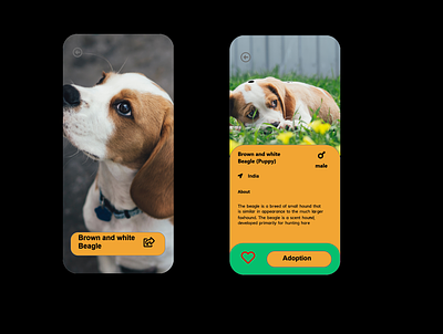 Pet Adoption adoption app design icons love pet typography ui vector