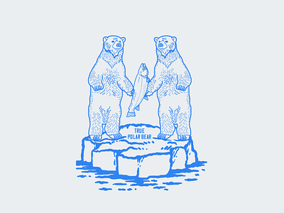 True Polar Bear animals arctic arctic circle bears digital illustration digital illustrations digital illustrators ice illustration illustrations illustrator illustrators polar bear polar bears procreate wildlife