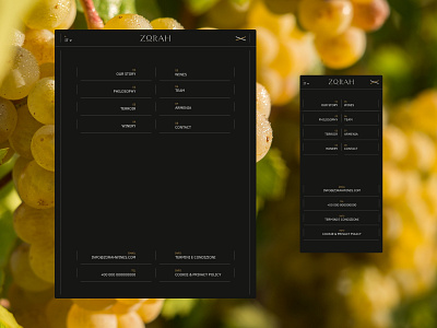 Zorah Wines animation branding design fonts lines typography ui ux wines