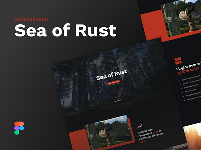 Sea of Rust iconography interface ui web web design