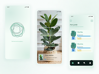 Arales - Mobil app for plant care app branding logo mobile app plant plantapp scanner ui uiux webdesign