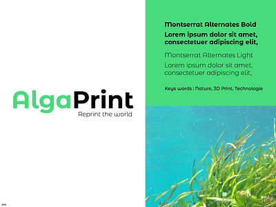 AlgaPrint - Logo creation 3d print 3d product ecologic flat illustration illustrator logo logo design logotype nature recycled technology typogaphy