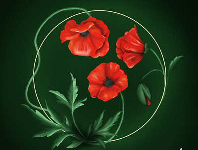 Circle Coquelicots coquelicot illustraion poppies poppy procreate