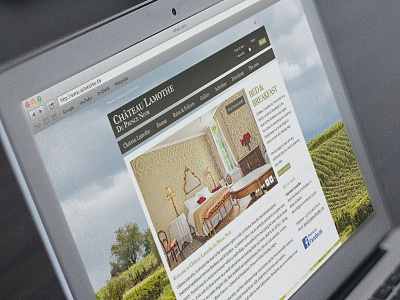 Château Lamothe - Website clean color design interface minimal navigation photoshop portfolio simple type web website