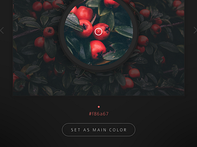 #060 | Color Picker app challenge clean color colors colour daily dailyui interface picker ui