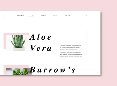 Everything Succs: Care Page design desktop flat layout typography ui ux web web design website