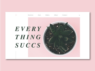 Everything Succs design desktop flat layout typography ui ux web web design website