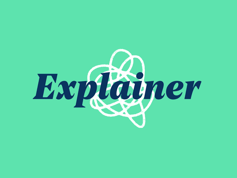 Explainer Logo Build