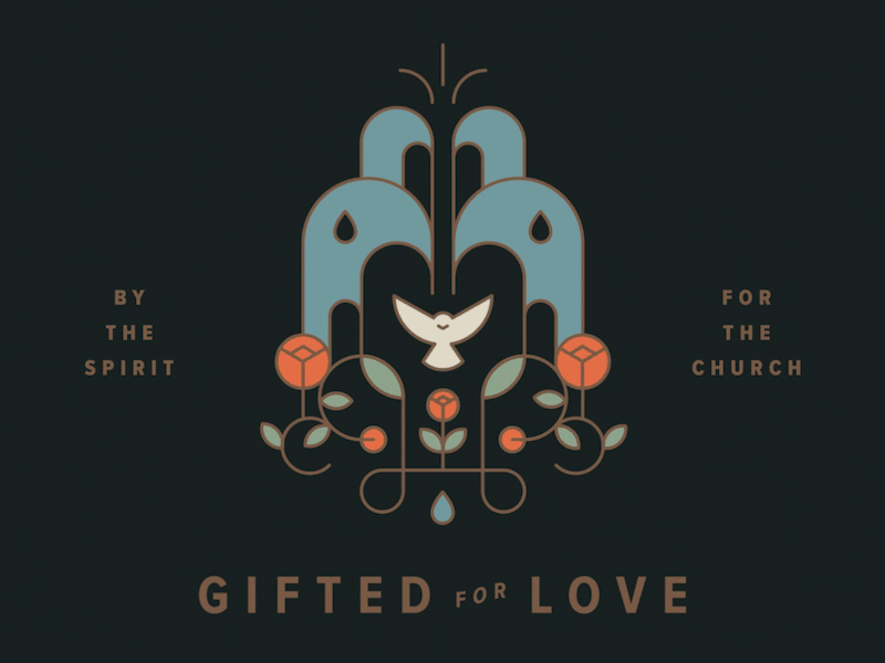 Gifted for Love after effects aftereffects animation brand branding build logo path series stroke