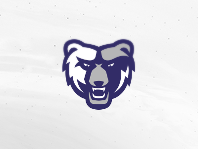 Practice bear logo bear logo mascot practice purple sports