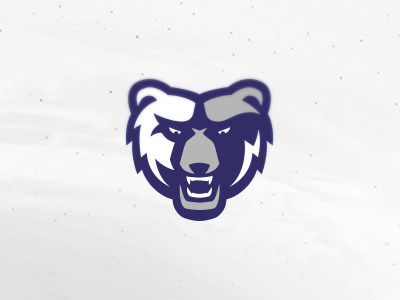 Practice bear logo