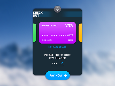 Card Payment - Check Out - Daily UI 002 002 credit card daily ui interface design ui ui design visa