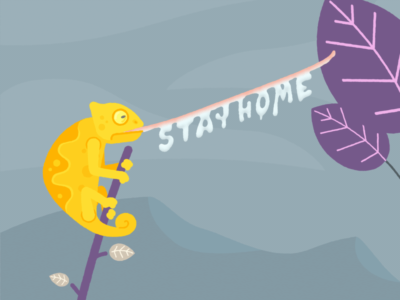 STAY HOME!!! 2d after effects animation chameleon character coronavirus flat fly gif illustration vector