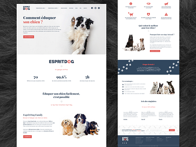 Webdesign - Esprit Dog animal design dog dogs redesign refonte ui uiux webdesign website