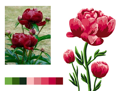 Peony illustration vector открытка пион цветок цветы цифровая живопись