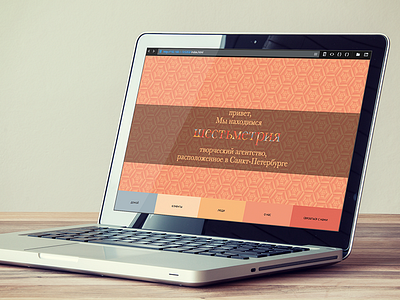 Shestmetria Website v1 macaw side project web design website
