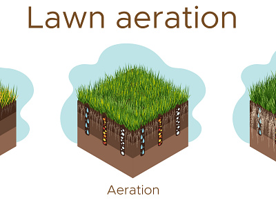 Lawn care - aeration and scarification. Labels by stage.