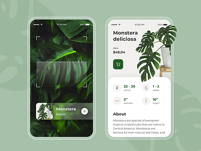Plant Search Mobile App app app design clean ui design eco green ios mobile app design monstera plant product design scan ui ux design