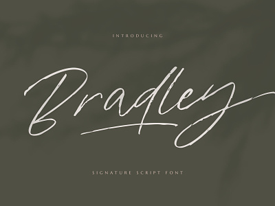 Bradley Signature Script Font french handwritten font ink