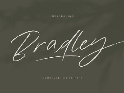 Bradley Signature Script Font