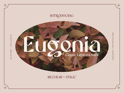 Eugenia Ligature Serif Font