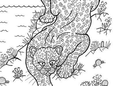 Leopard Coloring Book by Sasha Taran on Dribbble