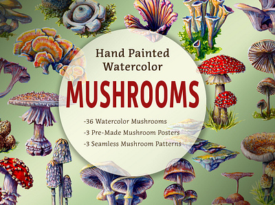 Mushroom Hand-Painted Watercolor Graphics Set branding creative market design forest fungi graphics icons illustration logo mushroom mushrooms watercolor