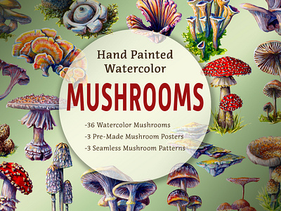 Mushroom Hand-Painted Watercolor Graphics Set