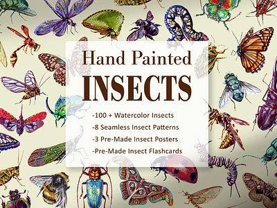 Insects Hand-Painted Watercolor Graphics Set