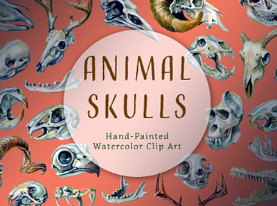 Animal Skulls Hand-Painted Watercolor Clip Art animal skulls animals branding creative market design graphics icons illustration logo nature science watercolor