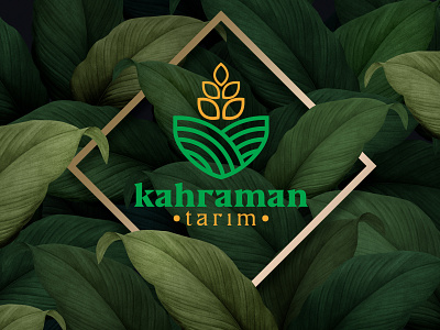 kahraman tarim advertising agriculture logo branding corporate identity design design logo mockup photoshop typography vector