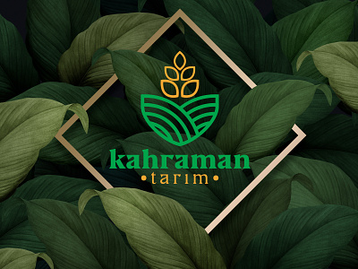 kahraman tarim