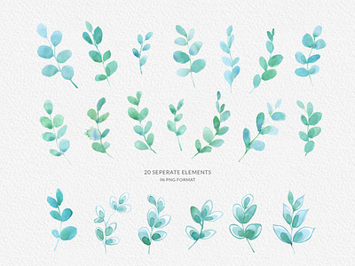 Leaves Handpainted Watercolor Clipart Collection