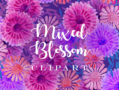 Mixed Blossom Clipart clipart design download floral flower graphics handpainted painting png watercolor