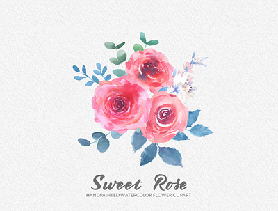 Sweet Rose Watercolor Floral Clipart blush rose watercolor clipart design flower graphics handpainted handpainted watercolour clipart png png file rose illustration rose painting sweet rose clipart watercolor watercolor flower watercolor rose clipart