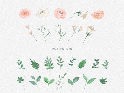 Elegant White Rose Watercolor Floral Clipart