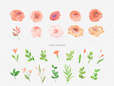 Day Light Handpainted Watercolor Flower Clipart | PNG clipart daylight design digitalillustration floral floralart floraldesign florist flower flowerclipart flowerdesign flowerillustration free download free downloads handpainted png rose watercolor watercolors